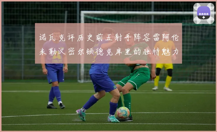 诺瓦克评历史前五射手阵容雷阿伦米勒汉密尔顿德克库里的独特魅力与影响
