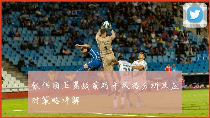 张伟丽卫冕战前对手风格分析及应对策略详解