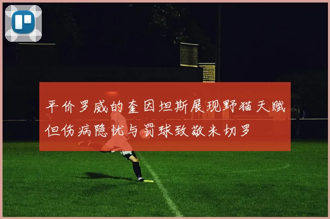 平价罗威的奎因坦斯展现野猫天赋但伤病隐忧与罚球致敬米切罗